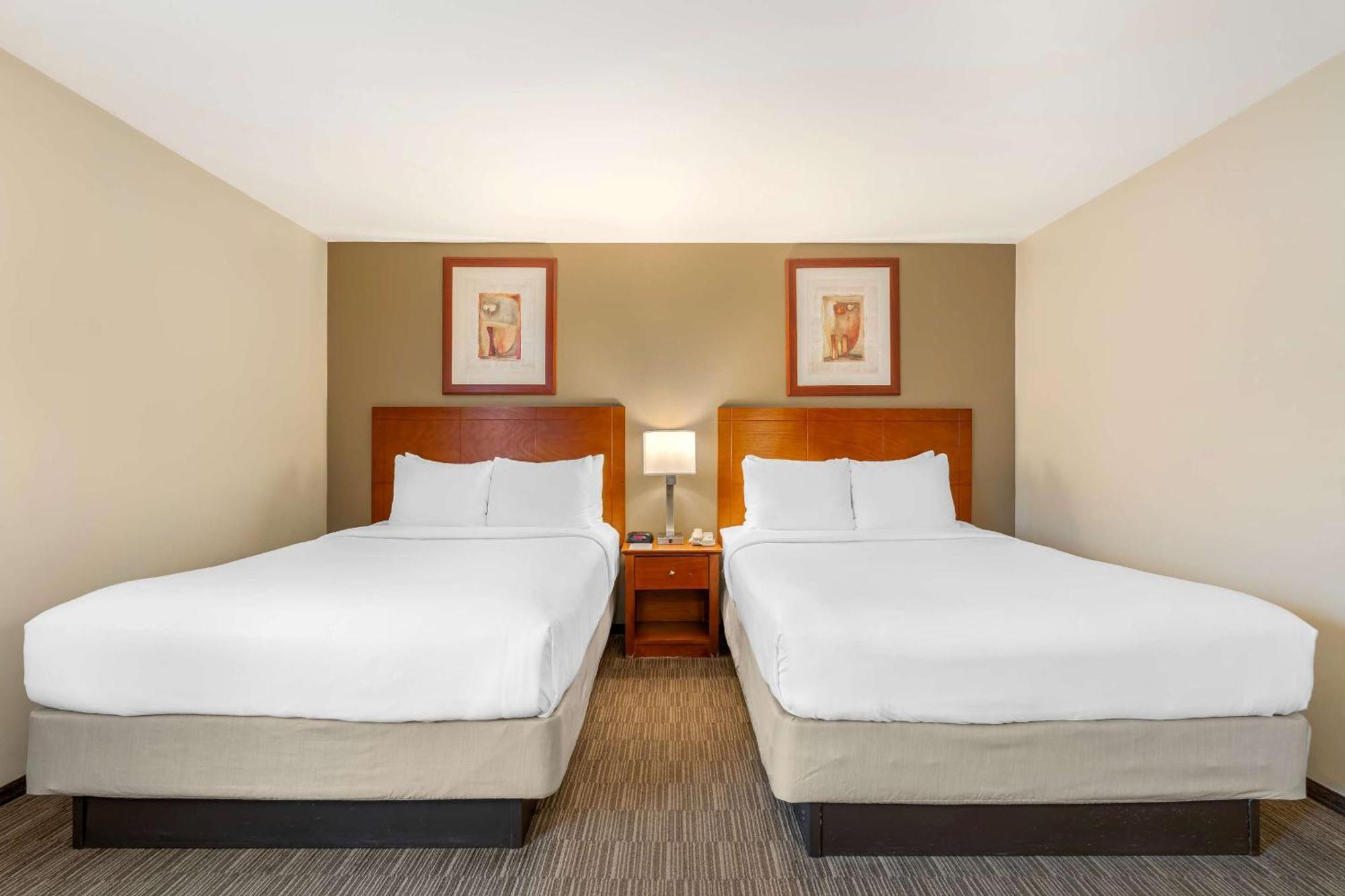 Comfort Inn Cockatoo Near LAX Hawthorne Exterior foto